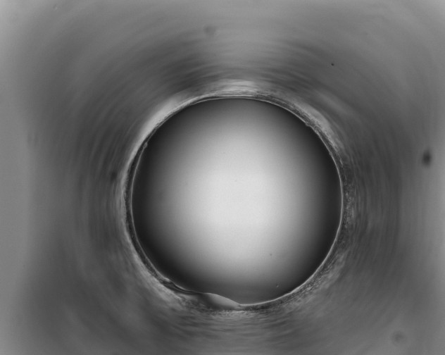 X0000100211475200806061334