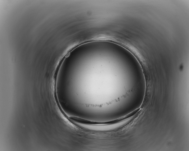 X0000100211476200806061334