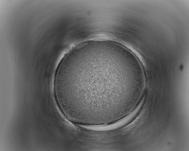 X0000100211477200806061334