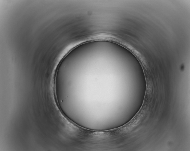 X0000100211478200806061334