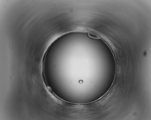 X0000100211479200806061334