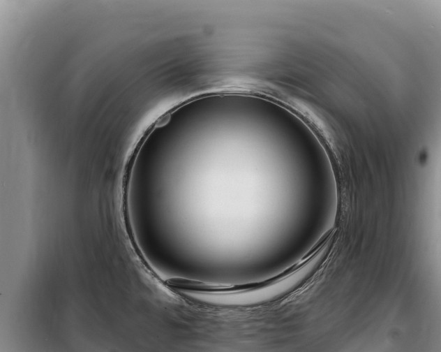 X0000100211480200806061334