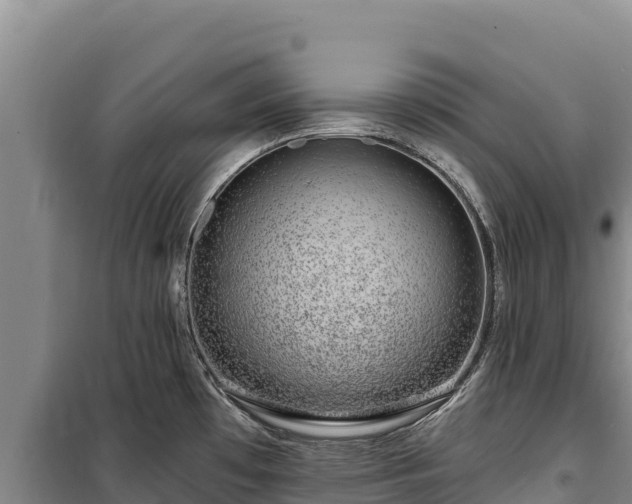 X0000100211481200806061334