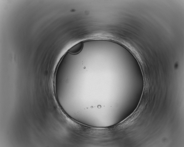 X0000100211486200806061334