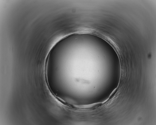 X0000100211487200806061334