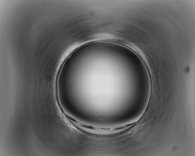 X0000100211488200806061334