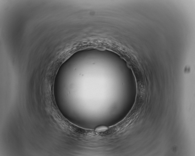 X0000100211489200806061333