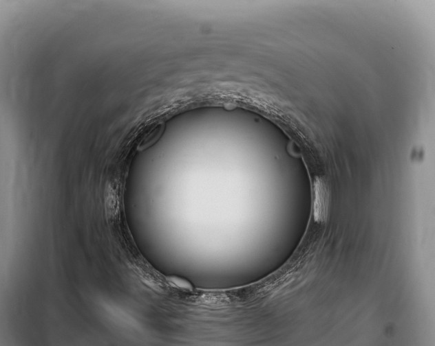 X0000100211491200806061333