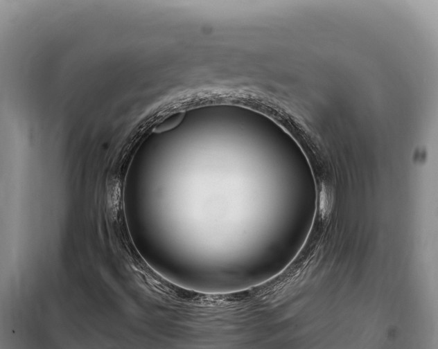 X0000100211492200806061333