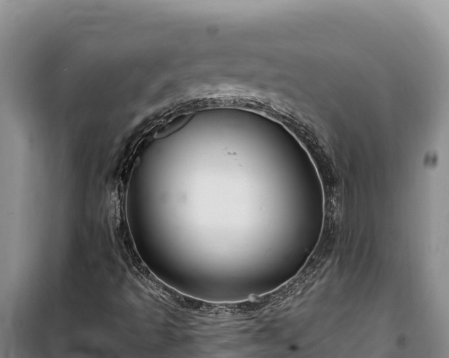 X0000100211493200806061333