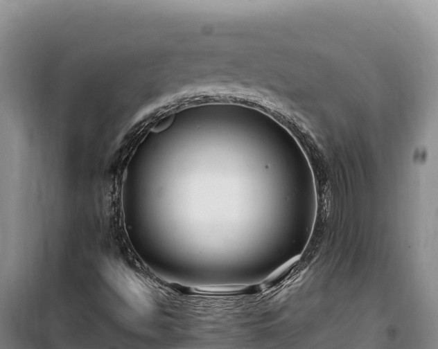 X0000100211494200806061333