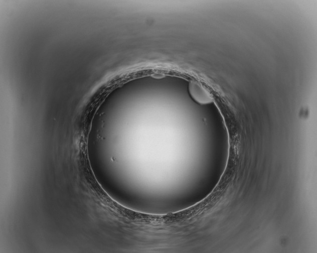 X0000100211495200806061333