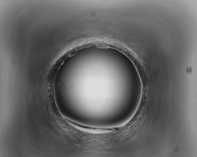 X0000100211496200806061333