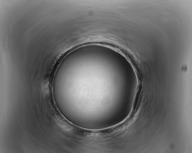 X0000100211497200806061333