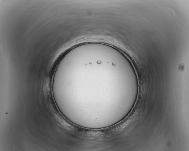 X0000100211498200806061333