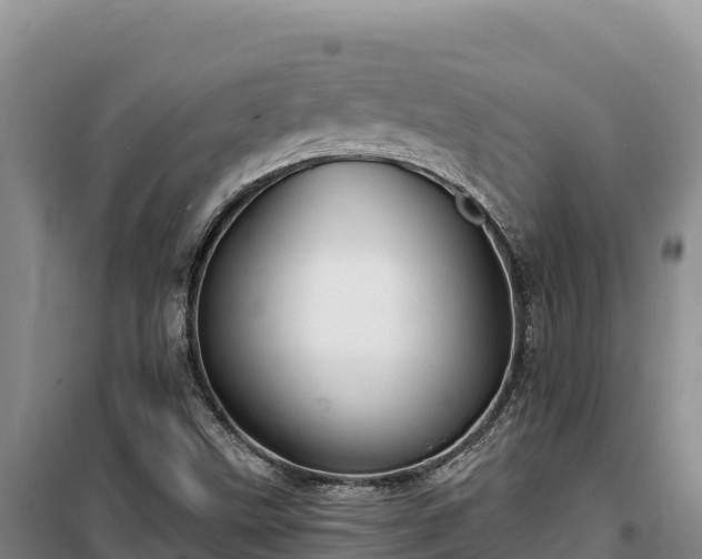 X0000100211499200806061333