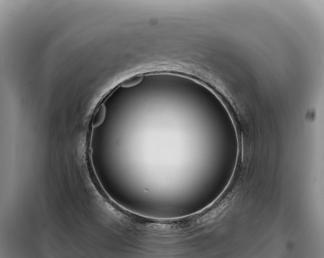 X0000100211500200806061333