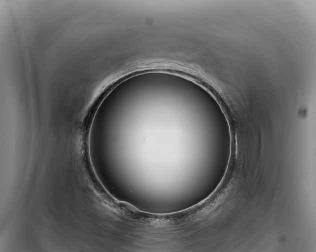 X0000100211501200806061333