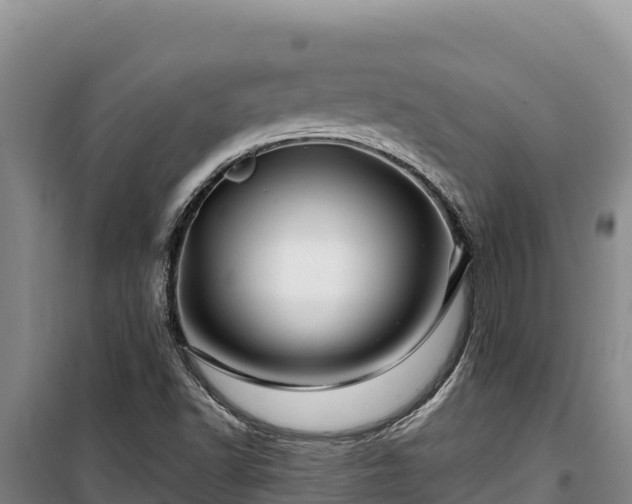 X0000100211502200806061333