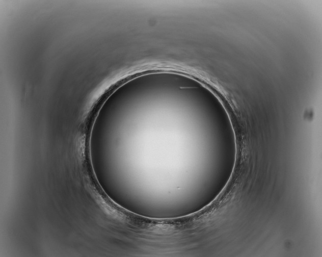 X0000100211503200806061333