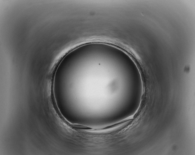 X0000100211504200806061333