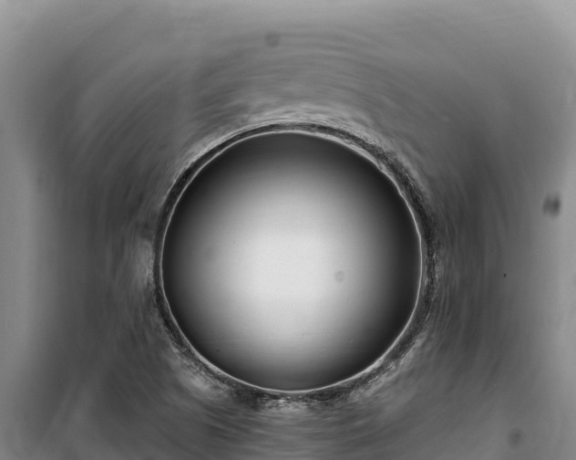 X0000100211505200806061333