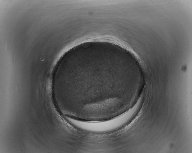 X0000100211506200806061333