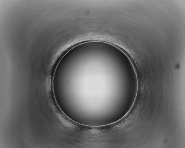 X0000100211507200806061334