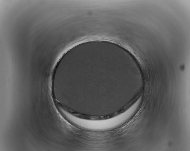 X0000100211508200806061334