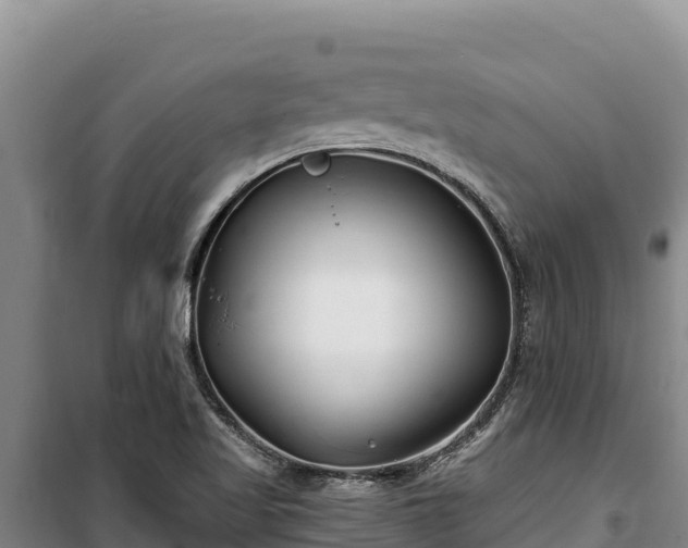 X0000100211509200806061334