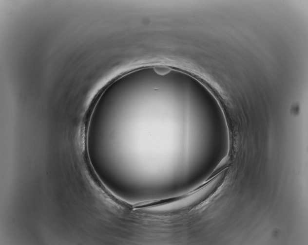 X0000100211510200806061334