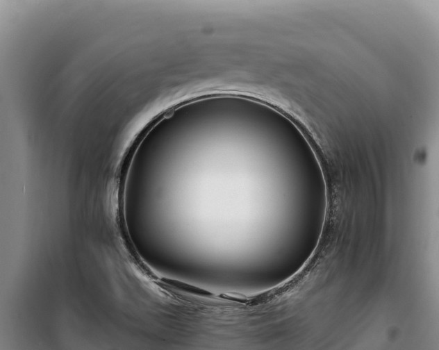 X0000100211511200806061334