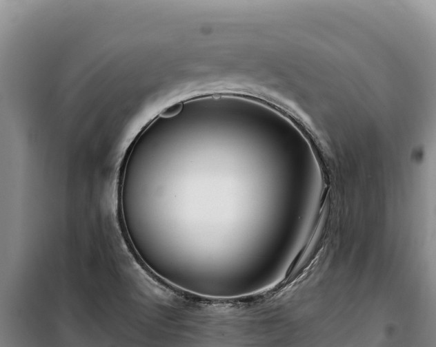 X0000100211512200806061334