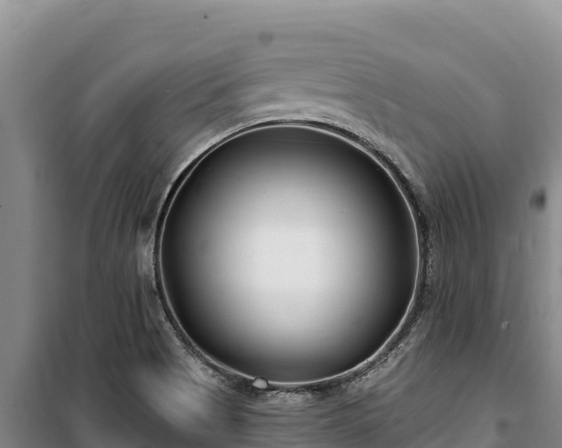 X0000100211513200806061334