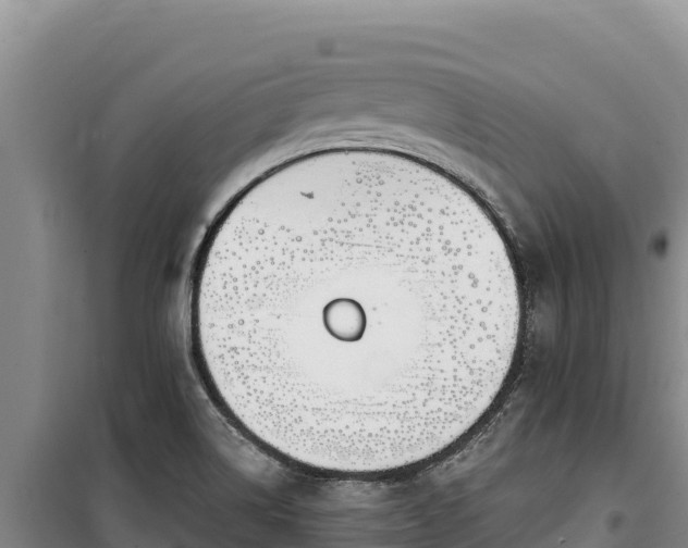 X0000100211514200806061334