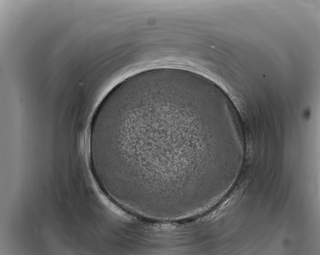 X0000100211515200806061334