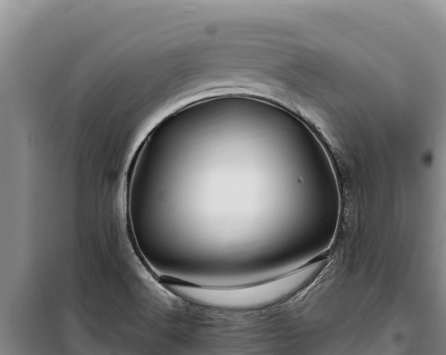 X0000100211516200806061334