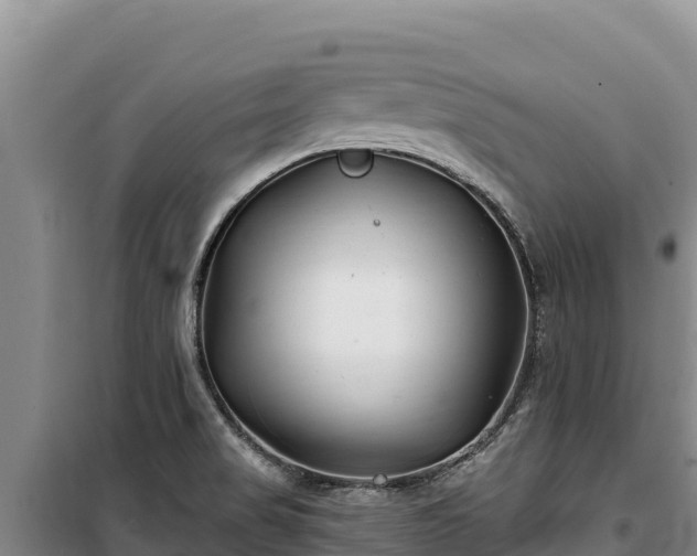 X0000100211517200806061334