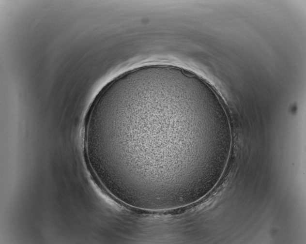 X0000100211519200806061334