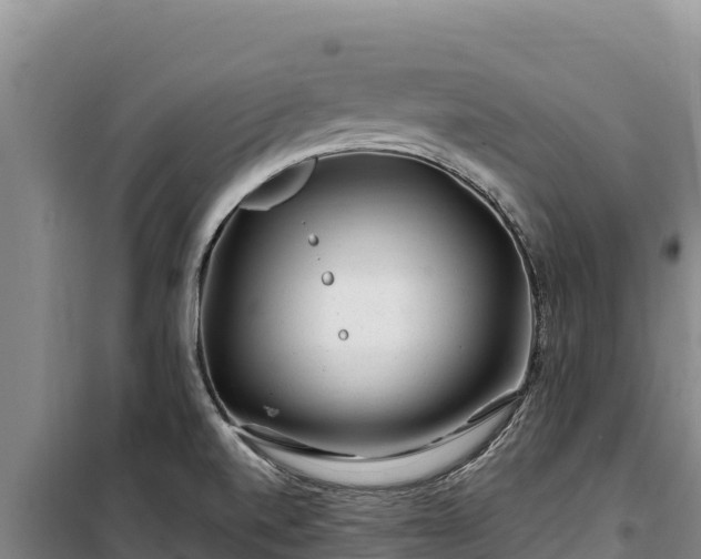 X0000100211520200806061334