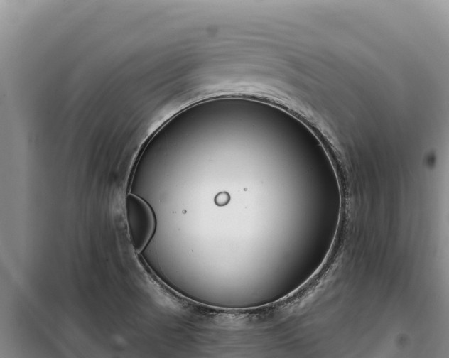 X0000100211521200806061334