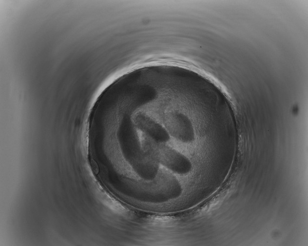 X0000100211522200806061334