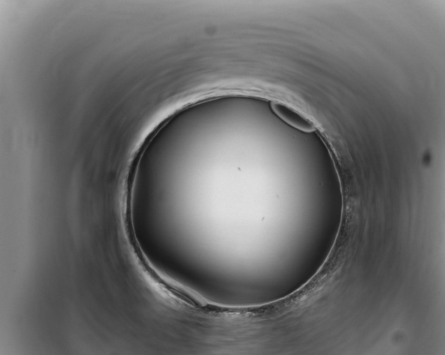 X0000100211523200806061334