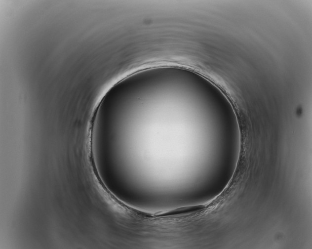 X0000100211524200806061334