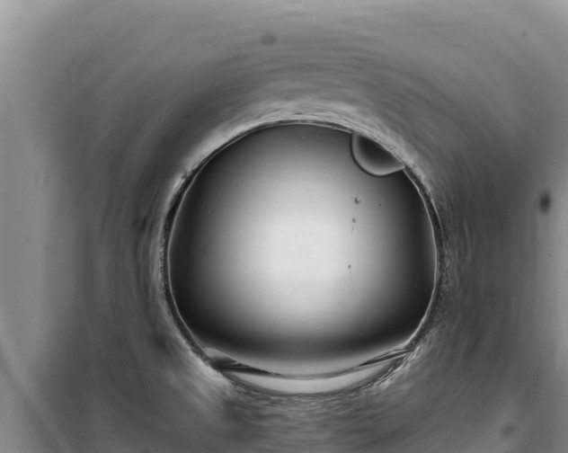 X0000100211525200806061334