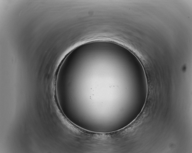 X0000100211526200806061334