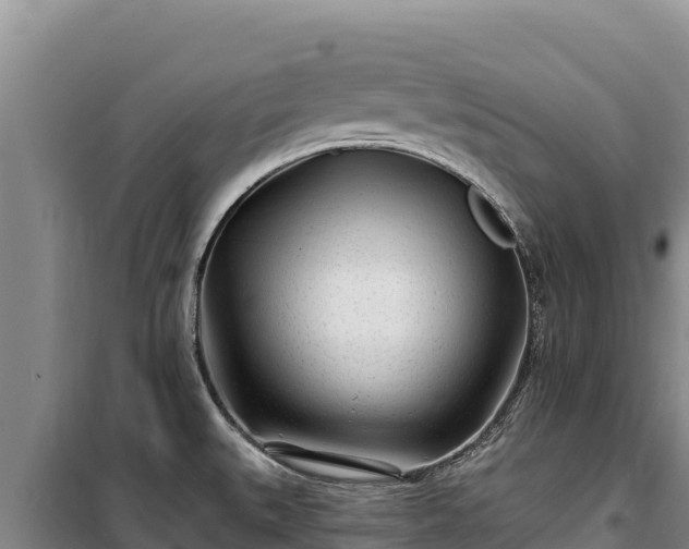 X0000100211527200806061334