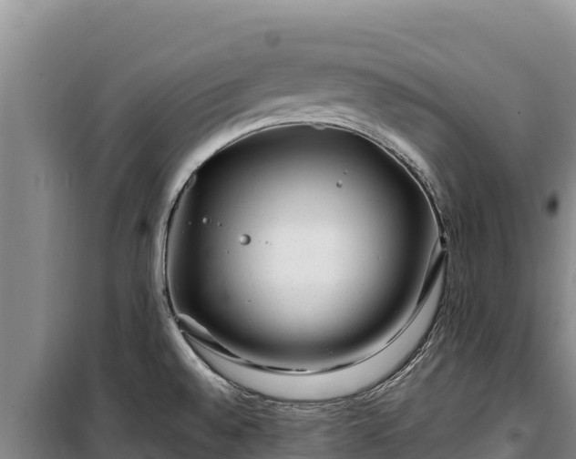 X0000100211528200806061334