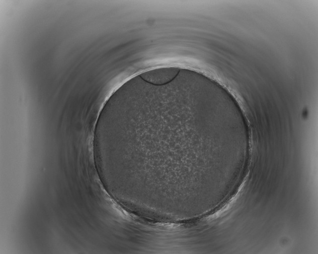 X0000100211529200806061334