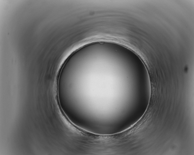 X0000100211531200806061334